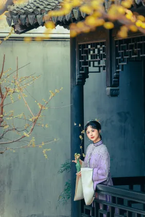 清｜蜡梅 橘芙芙