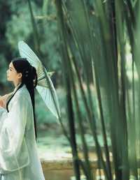 竹林饮酒 航子
