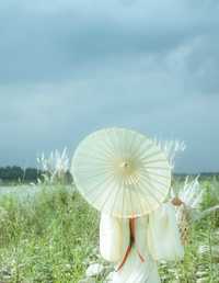 芦花漫 陌颜