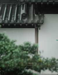 雨打芭蕉