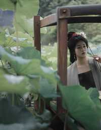 雨中采荷 原地掉线去夜闹