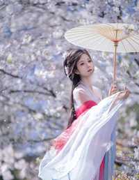 人间惊鸿客，岁月入画来