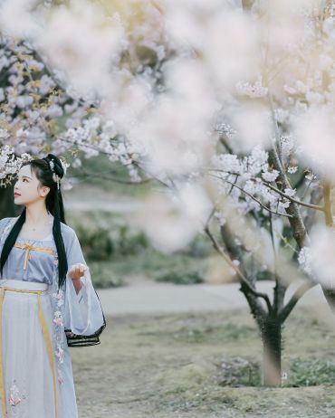 花在枝