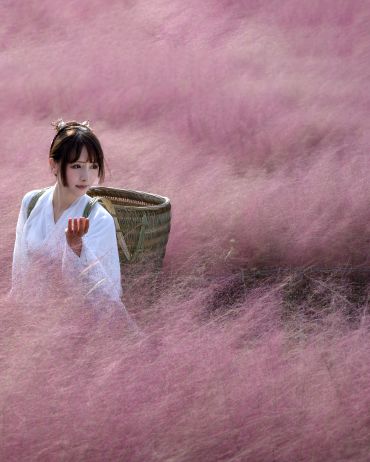 粉黛少女