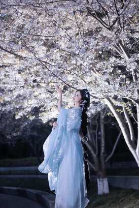 夜见樱花
