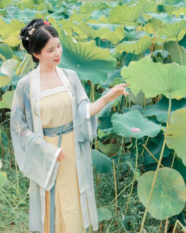 夏荷