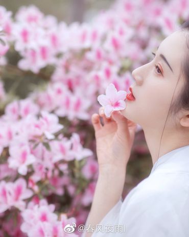 杜 鹃