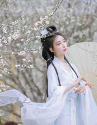 暗香浮动 无巧不成狐（兮雅）