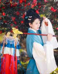 山茶花开 一只大大大李子