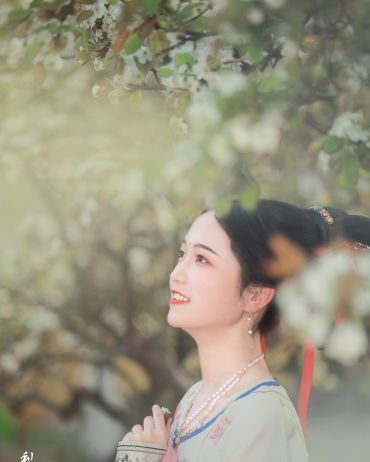 梨花落