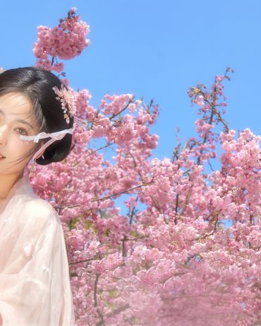 樱花