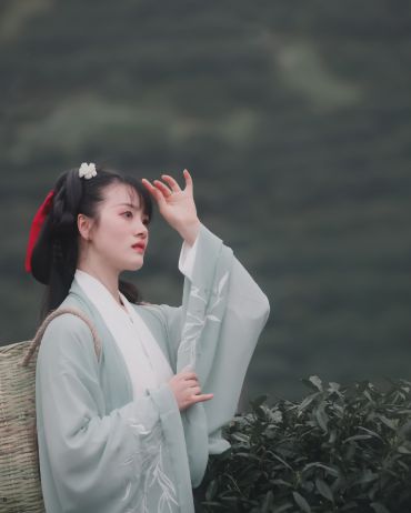 空山新雨