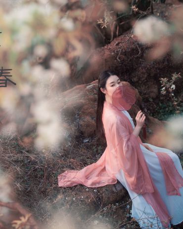 看花将忘已春回