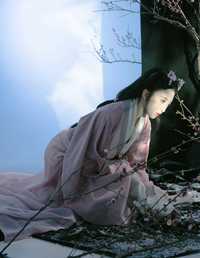 我那梅树化成的妻子 白一纯