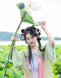 西湖美景 湫一只岁岁