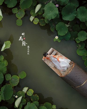 醉花阴·藕花深处