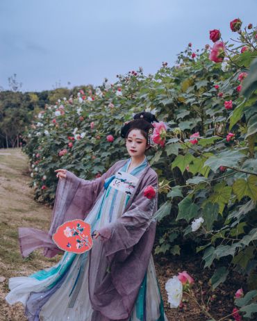 花花半个夜景的木芙蓉