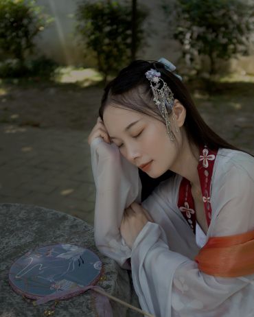 有美人兮